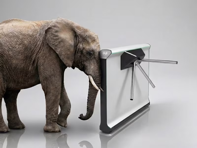 Ein Elefant versucht eine Personendrehsperre zu verschieben